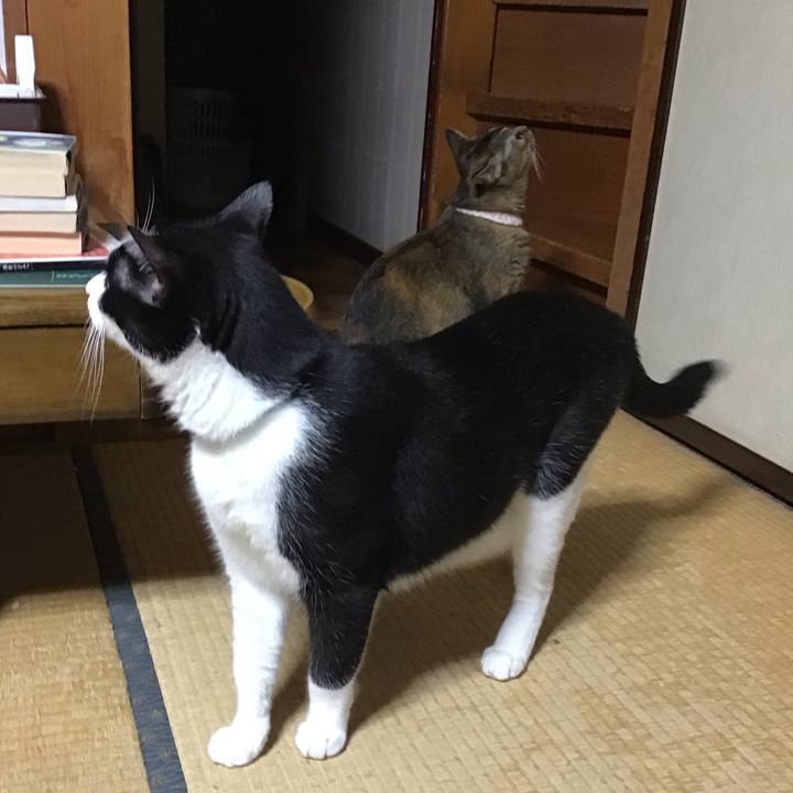 17cd5638 ce04 4dde 916b bb200297749d 1727089081747