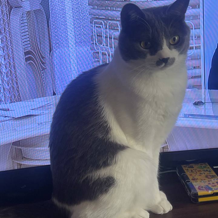 17cd6a66 6b33 4d49 adac 99457d96fef5 1646637763493