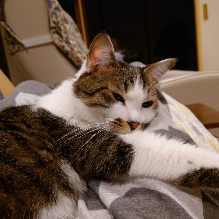 17cd844a 92a6 42f9 ba05 e8aa925645d5 1768958453982