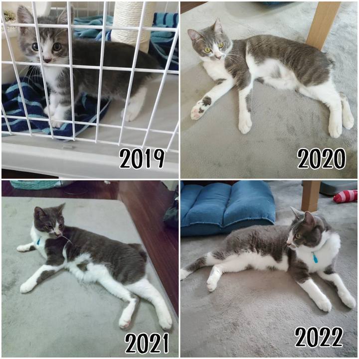 17cdd7ce 3cb9 4a6f 9ce1 6c3d5359395b 1654907477142