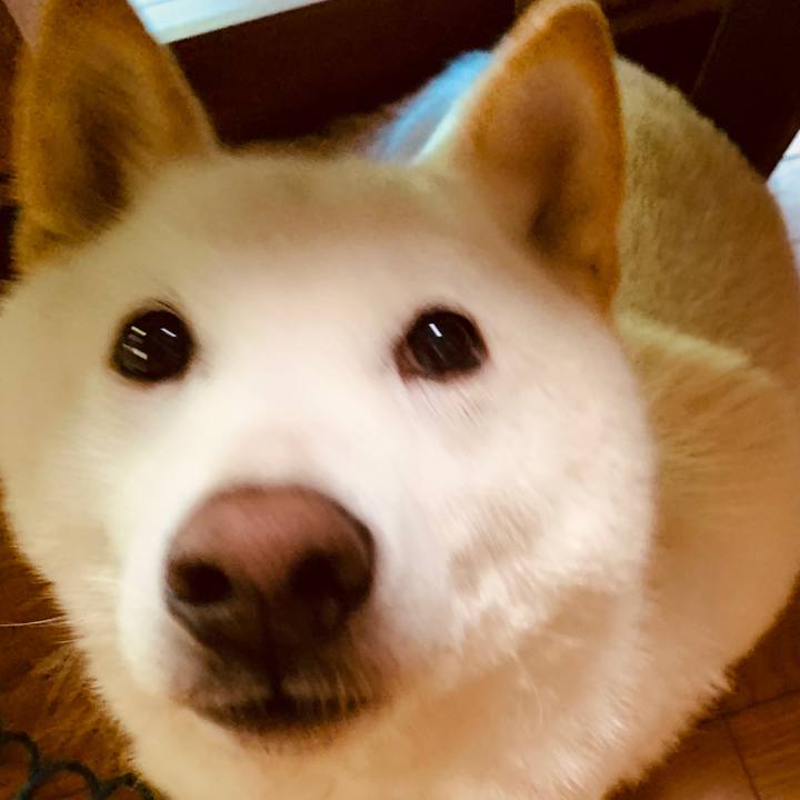 17ce94ea d3db 4ad4 95da 319328177afb 1593037099370