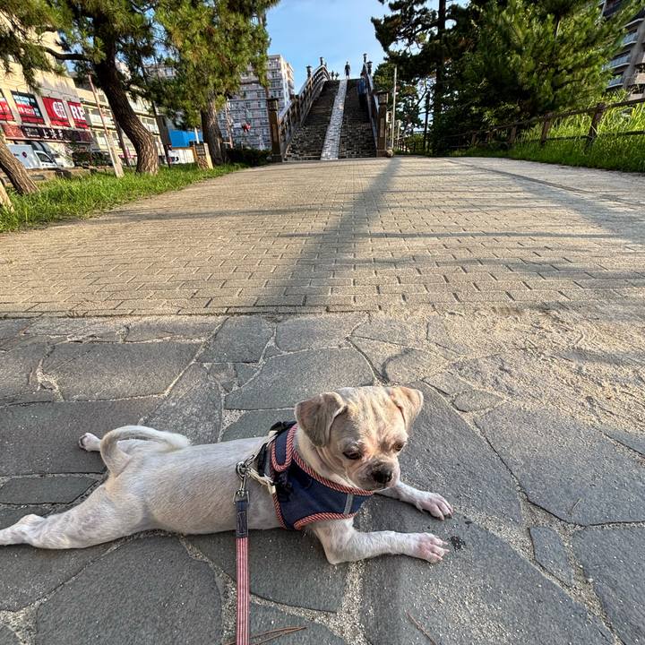 17ce99bd 5731 4b24 a202 53054fd03228 1754862073548