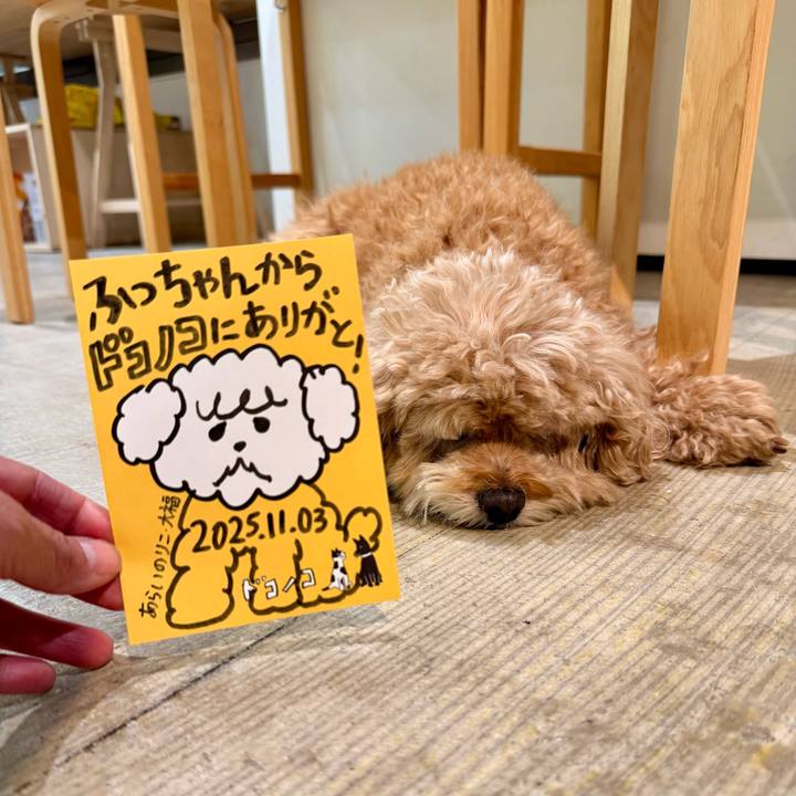 17cea333 406d 4e56 bf0c d16b80f6763e 1762211589805