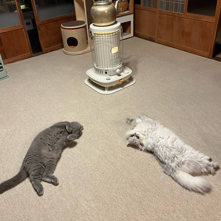 17cee84a d532 4c5a a1ca f05b47e11b0d 1704705399570