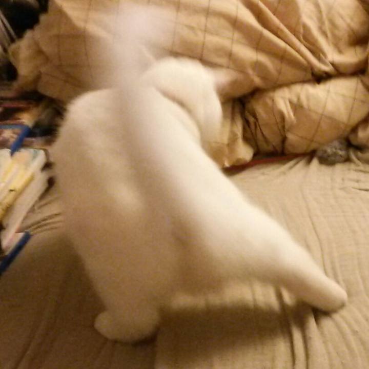 17cf031a 7c70 41ef 8203 0b30f242062d 1508798960231