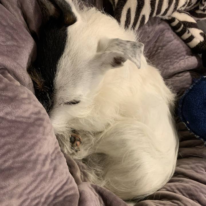 17cf9de5 13f4 48d5 a89e a2ed45adcd2e 1638788701319