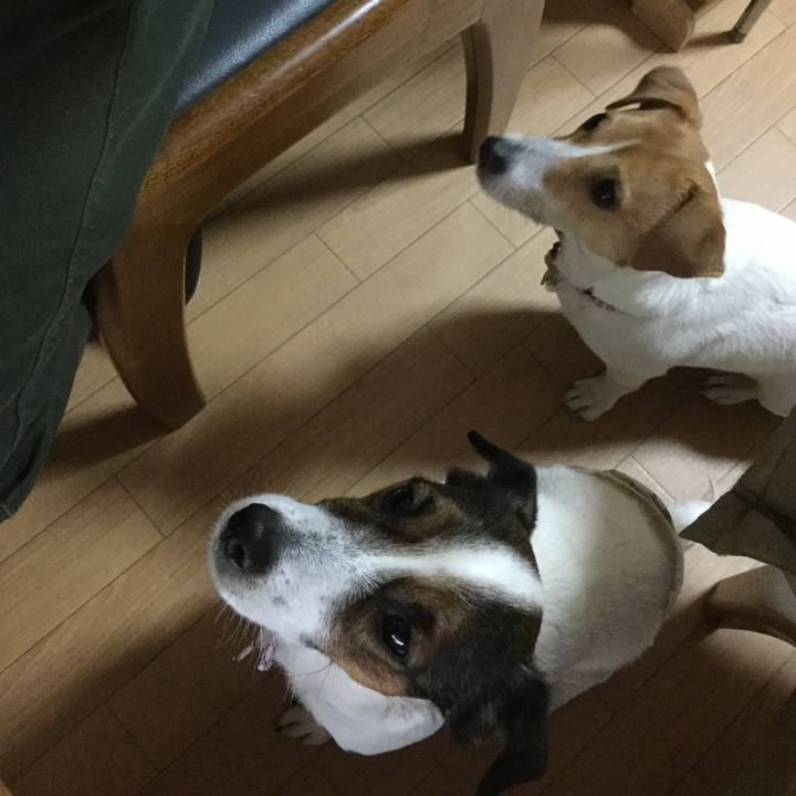 17cfa3c2 b759 4395 a2c5 b820739419cc 1548055085144