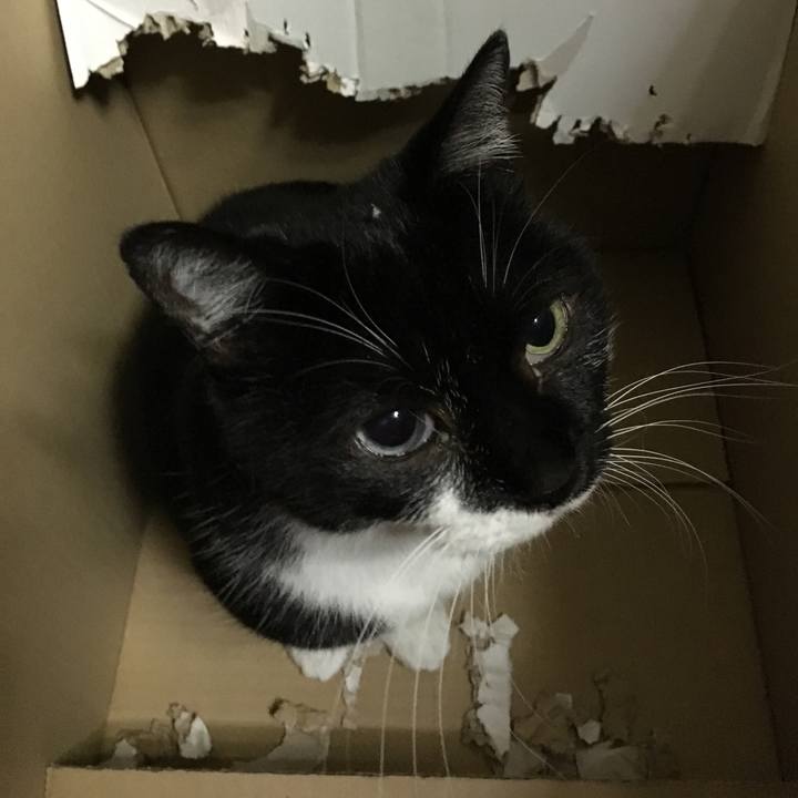 17cfaaf8 4924 46d9 b4c5 c2629e1d6af2 1576041072835