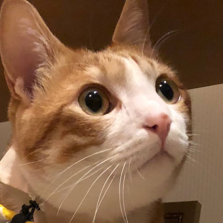 17cfb95e f169 4a84 9ff7 35eae5923bb0 1559055065708