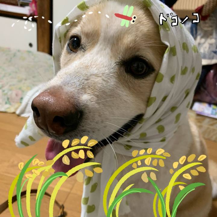 17cfeeef 321a 4a80 bcf3 fedb9c8b62d0 1761146878745