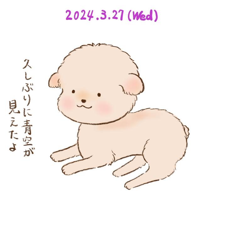 17d0522d f2dc 4682 b2e9 b5677cb42762 1711544955554