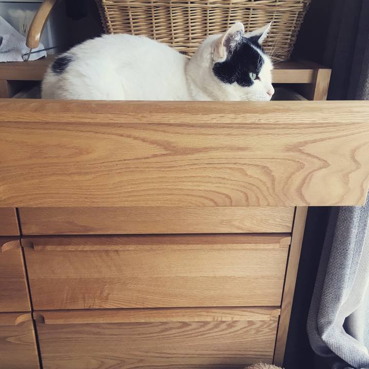 17d065f6 8a70 41f7 b0d8 b680336a8c61 1587513441143