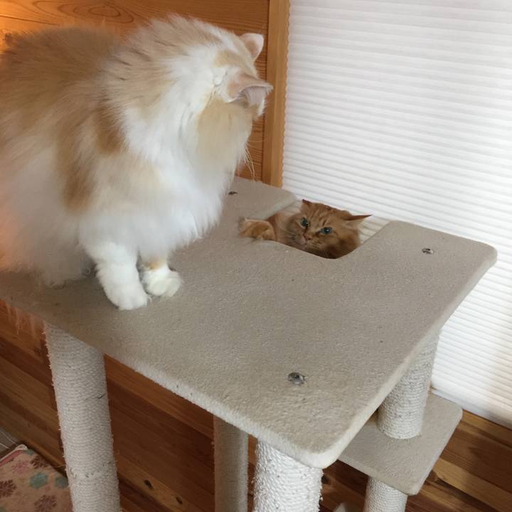 17d0a58b 97c0 439a ad11 ecb43fcf035e 1610743651103