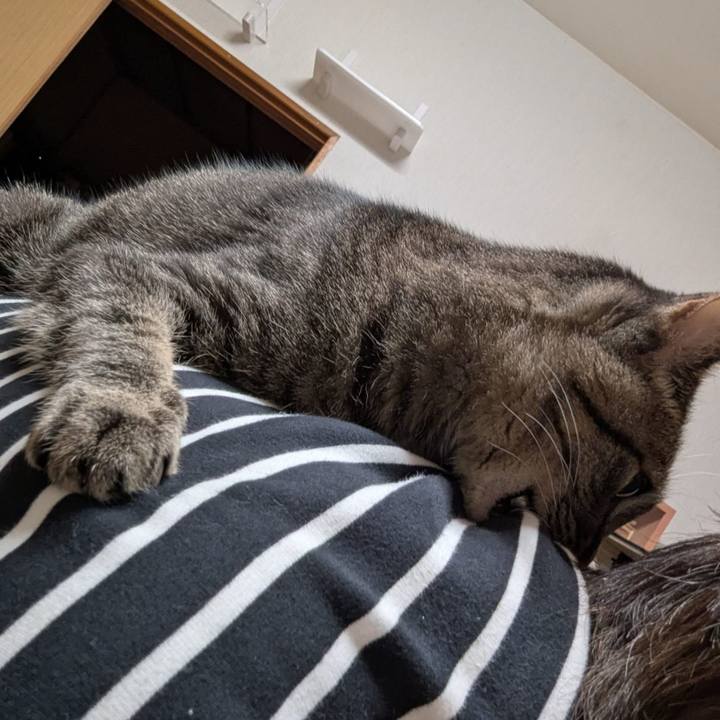 17d0a84d f657 444b 84b9 9df723f21317 1765946390967