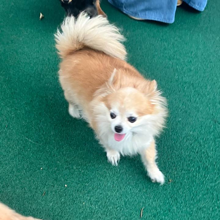 17d0e5da 2ce3 4266 a1b8 c1ee09797352 1752245095491