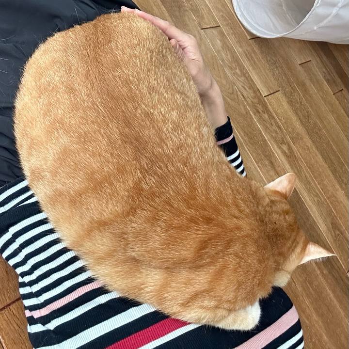 17d13edf 2bac 4d4b ac71 36c74d680026 1670649125936