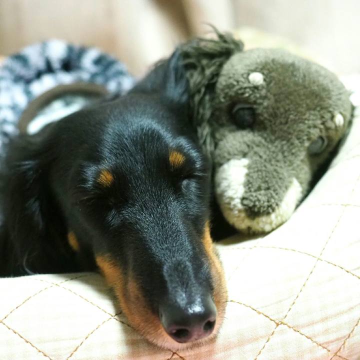 17d140d6 5789 4c62 b9ac d72878effb29 1546767372365