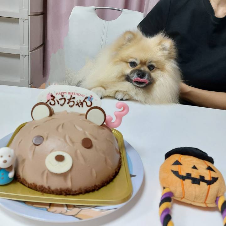 17d146da 9e75 457e 9f2e 4493b1412d8e 1696332064644