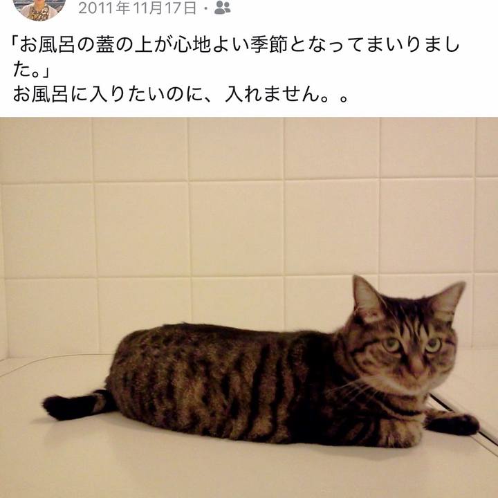 17d186b9 3e16 4a91 8d71 fd169f0c9f3a 1763354187279