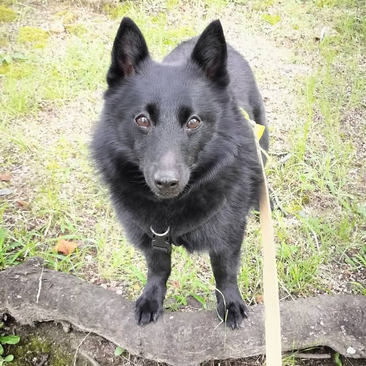 17d19460 7ebb 462b 98ac 695ceedcdf56 1687730930129