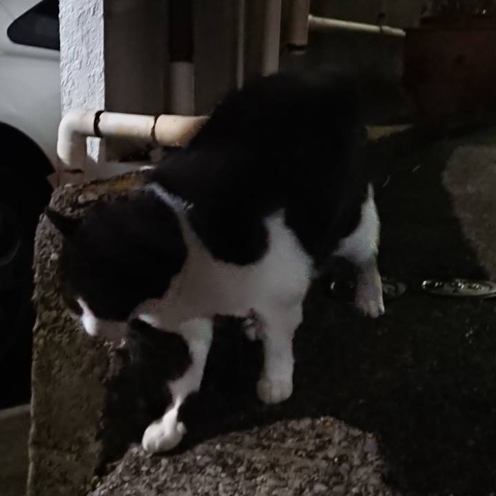 17d1aa1d 2ff3 492e bdf1 081653cf7bc8 1633615678118