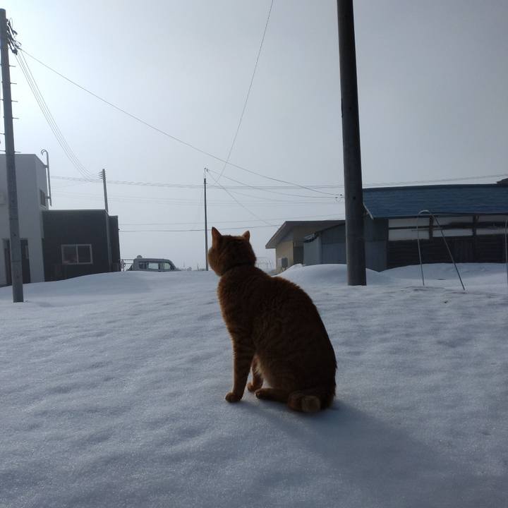 17d1aee6 e22b 4c1d b205 1213abeaaf6e 1673574965907