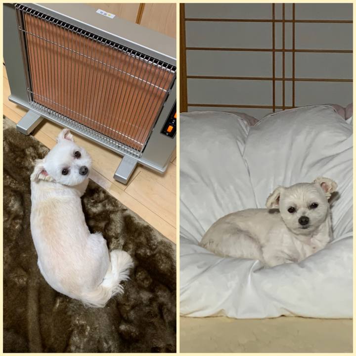 17d1b837 3d6c 4c55 bcd1 118b794de0c8 1636539899313