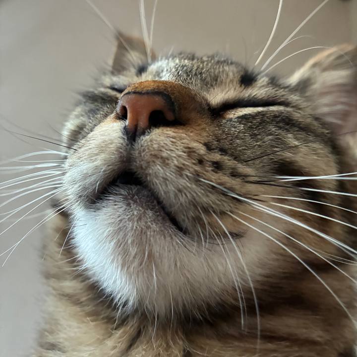 17d1c2b7 4761 471f 8082 d2ae8d6a118b 1753647103094