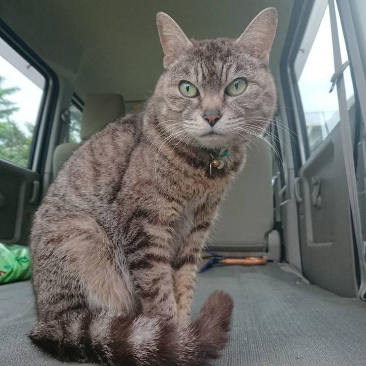 17d1d08e e0af 43e4 b29a bb174c9d2857 1559039604195