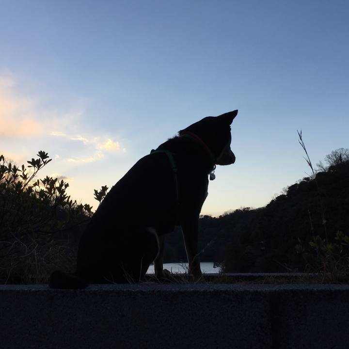 17d213c7 5760 4303 988d 8b5e82173c9d 1518360896858