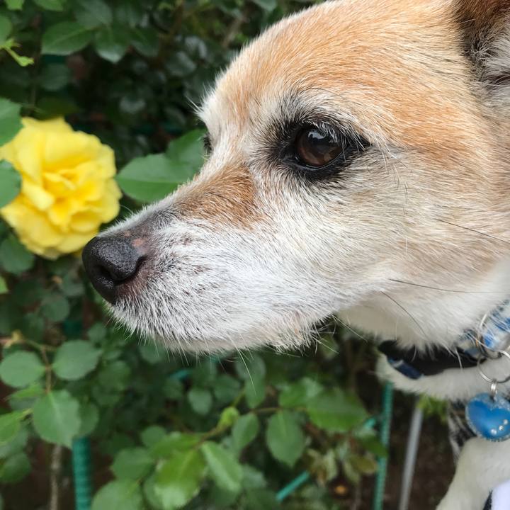 17d25696 5276 4a32 924f e3a466c619a6 1650778578295