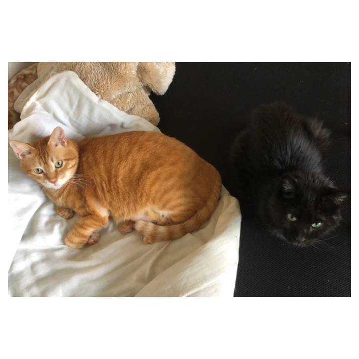 17d26841 05c3 44be b815 dc6bced135f7 1631426337945