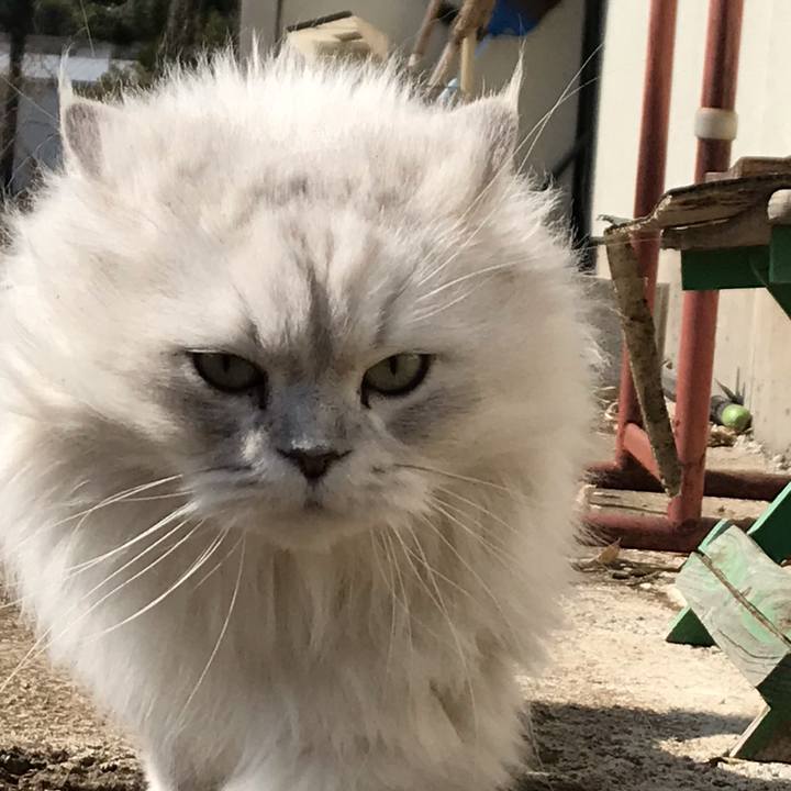 17d268d0 110e 4141 a380 2edf458eb964 1583030824509