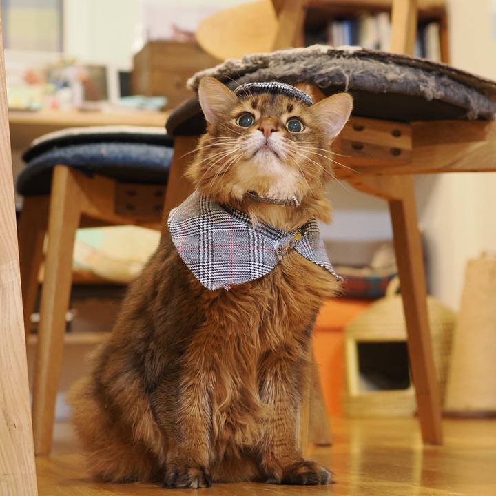 17d290e2 2f23 4785 8b0c f52b3102ed43 1767844615032