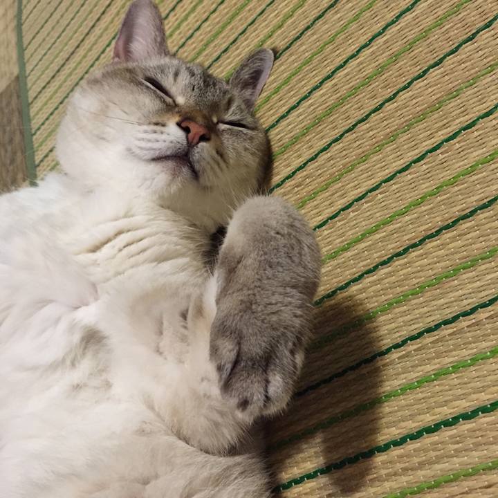 17d2985d 57e6 4160 bfd9 af5732444980 1536925111250