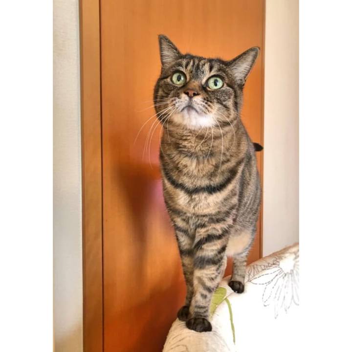 17d2a9a6 ba41 4433 89b4 e8e481affaf7 1766128644990