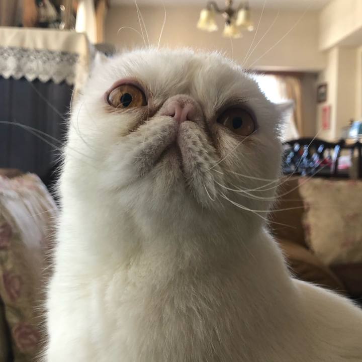 17d33994 051e 4b2b b772 4966a826fcf2 1679226895993