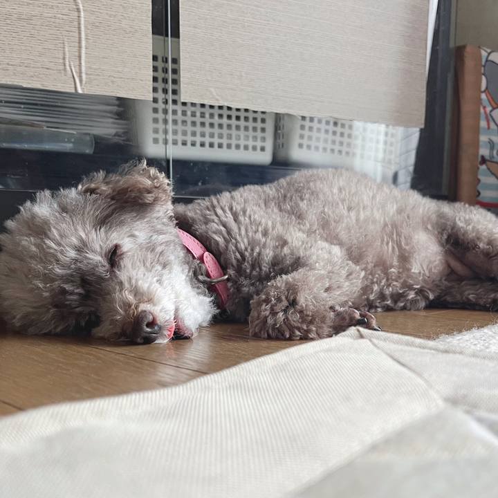 17d33a39 b4bc 4bba 8eba fe2245e98b4a 1753854967501