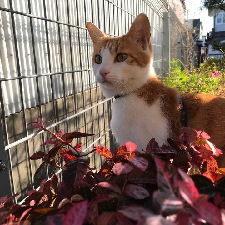 17d34375 c8c5 42c0 92c4 4446c8fd2fe2 1509959862160