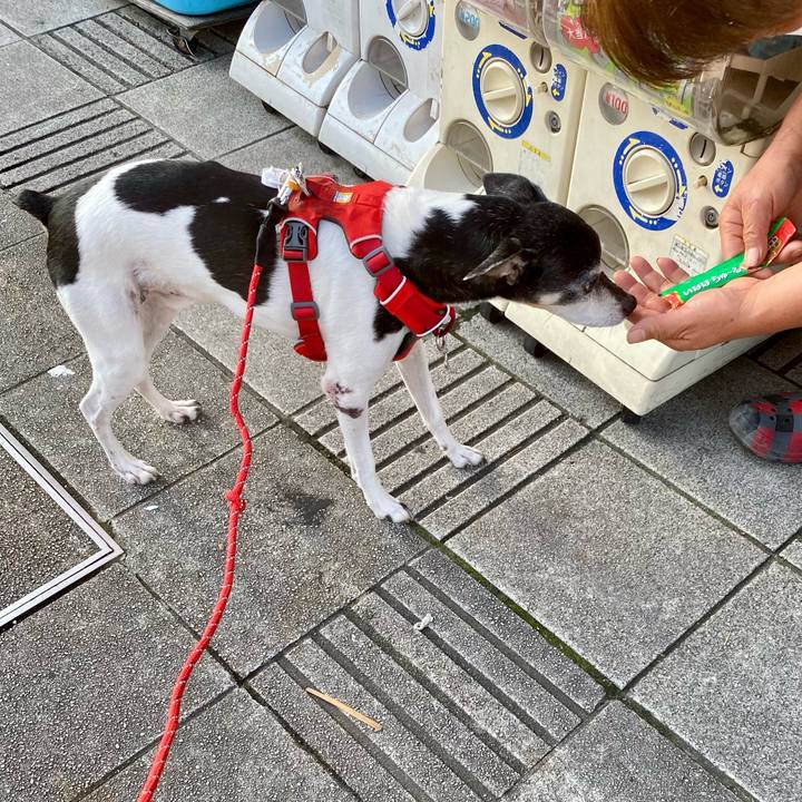 17d34a7f 1f3a 452e b538 ae745e9d94bb 1621893010993