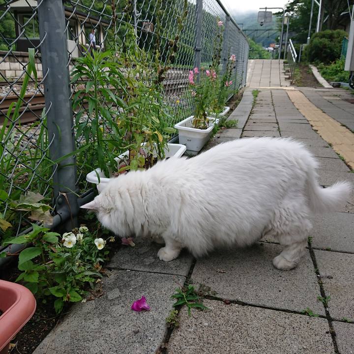 17d35198 1f5f 4cf8 981f 25f3500a1b1e 1563316156811