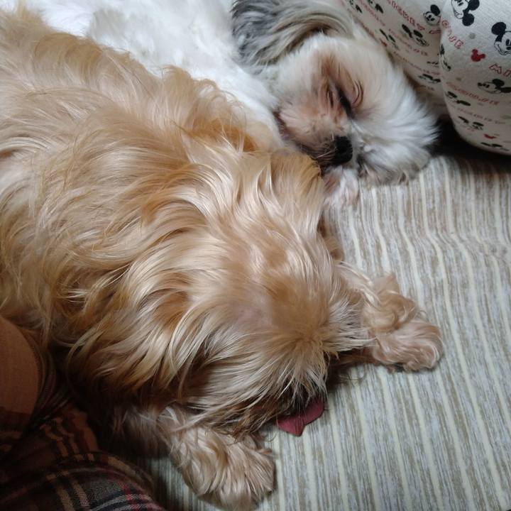 17d3ae44 ac8d 4274 82ae 6aab6a93a296 1611149400839