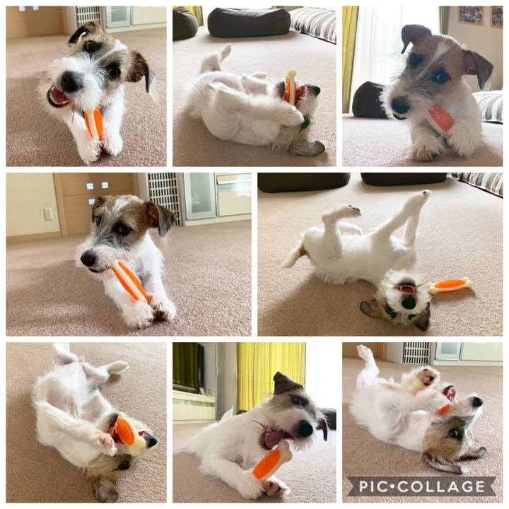 17d3e683 4cad 4107 a1a4 8059dd8fa359 1565326539579