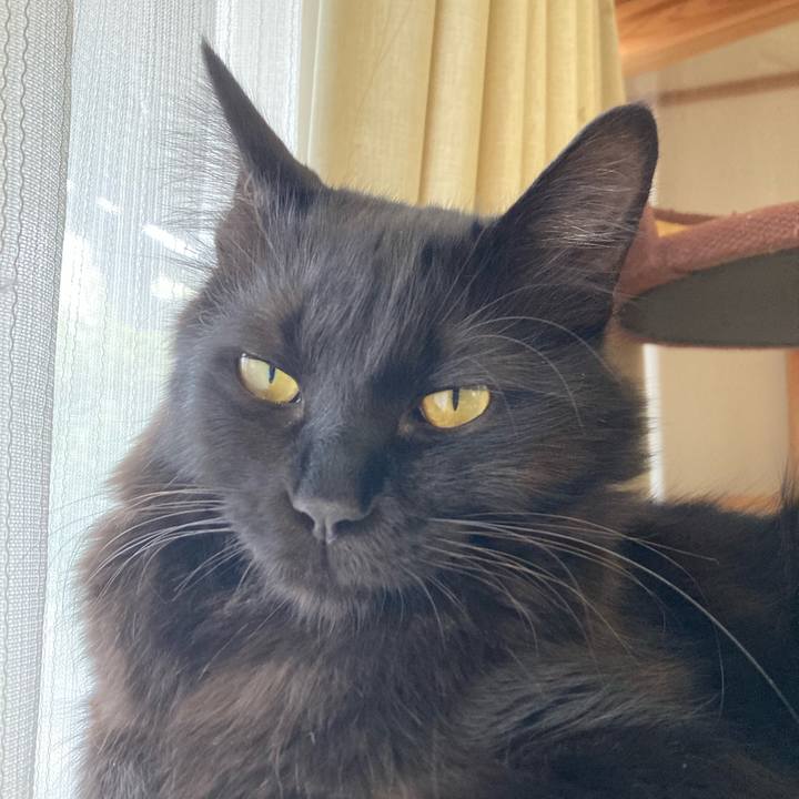 17d42bbd 3f3b 44b4 8b47 6da5ef307404 1714115304976