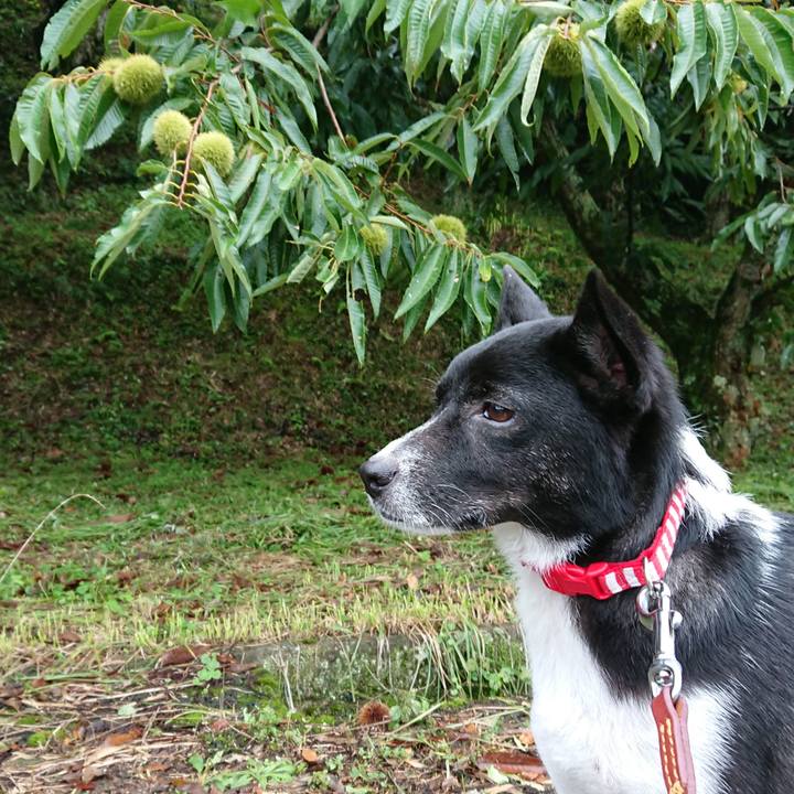 17d45125 7f5f 4251 8678 535f90f9ceaf 1536795019761