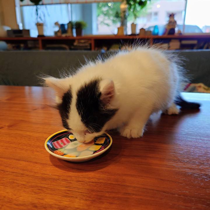 17d45c57 924c 4959 ba87 338201326ee2 1757998822156