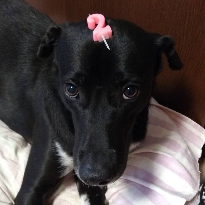 17d46dd3 0ab8 4e14 a936 d41f5e05f853 1585729249129