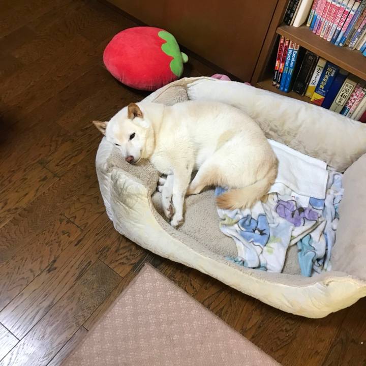 17d48e58 96bd 4e8c 9575 e8cf3eb58732 1699309591753