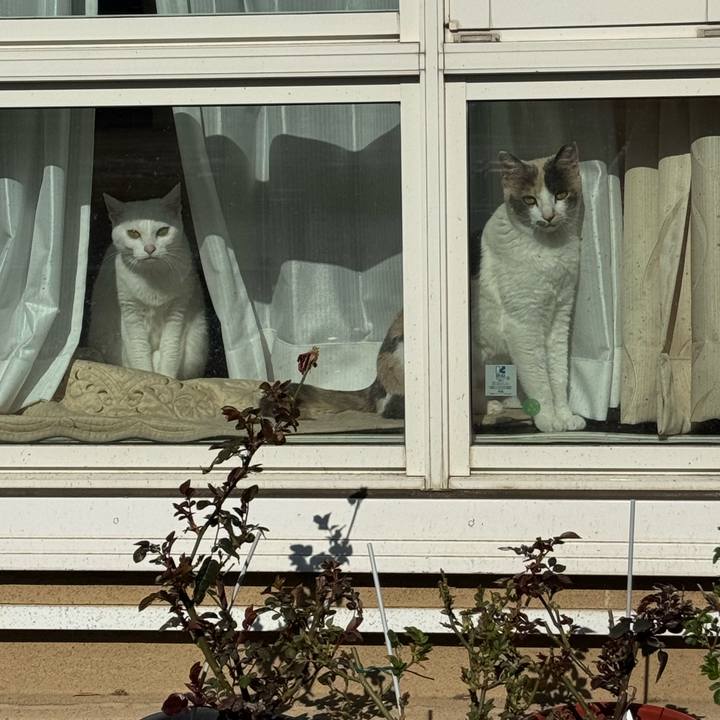 17d4933e c112 46b0 a60f 4a36dae44d8f 1772678252873