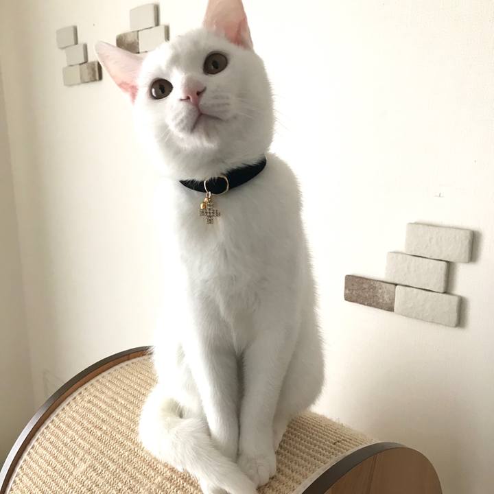 17d49414 5e9e 4a3f a637 292cf375faf8 1576395077692